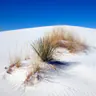White Sands National Park