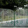Graceland