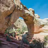 Capitol Reef National Park