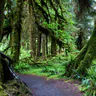 Olympic National Park