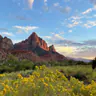 Zion National Park